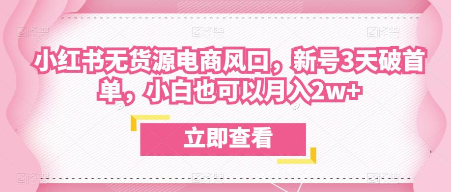 众狼电商余文小红书无货源电商风口，新号3天破首单，小白也可以月入2w+-副业库
