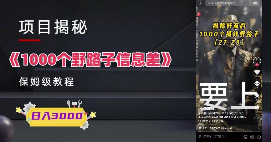 1000个野路子信息差保姆式教程-单日变现3000+的玩法解密-副业库