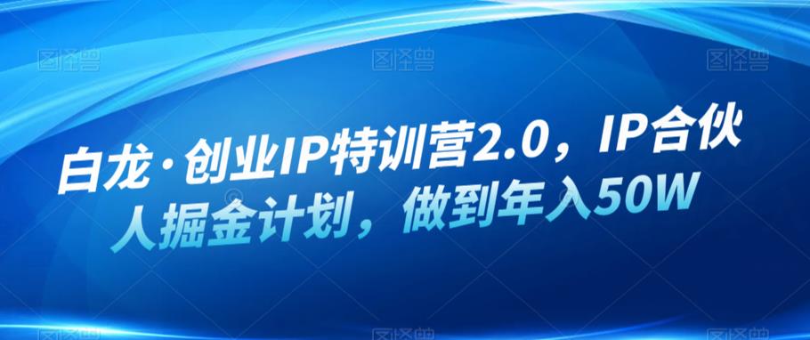 白龙·创业IP特训营2.0，IP合伙人掘金计划，做到年入50W-副业库