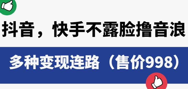 抖音快手不露脸撸音浪项目，多种变现连路（售价998）-副业库