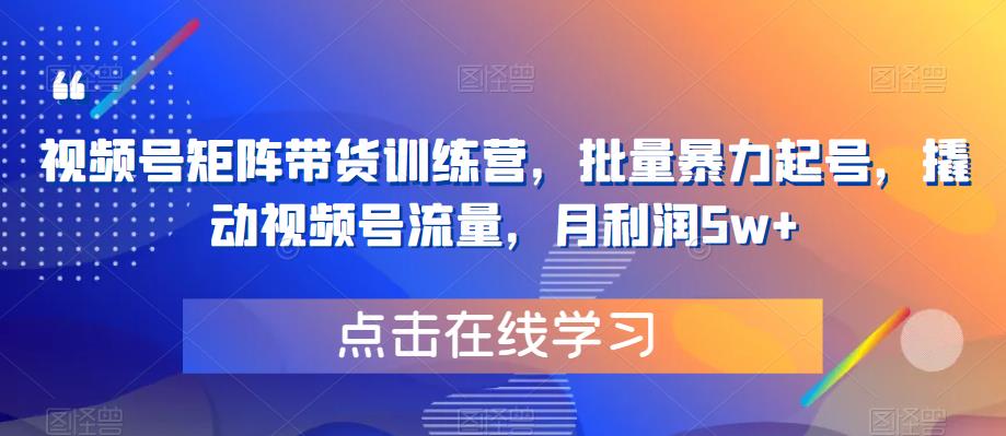 视频号矩阵带货训练营，批量暴力起号，撬动视频号流量，月利润5w+-副业库