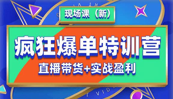 抖音短视频疯狂爆单特训营现场课（新）直播带货+实战案例-副业库