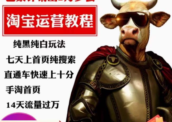 猫老师·淘系算法逆向解密，​纯黑纯白玩法，七天上首页纯搜索，手淘首页14天流量过万-副业库