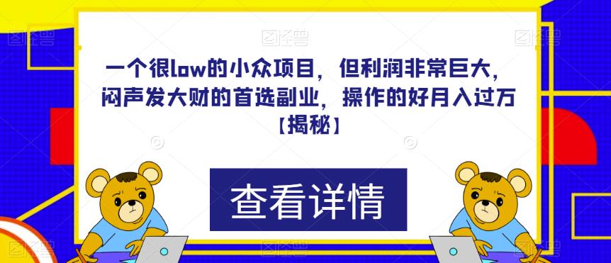 一个很low的小众项目，但利润非常巨大，闷声发大财的首选副业，操作的好月入过万【揭秘】-副业库
