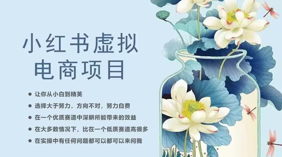 小红书虚拟电商从0到1，让你从小白到精英（20节实操课程）-副业库