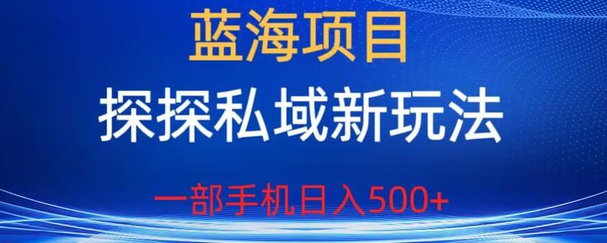 蓝海项目，探探私域新玩法，一部手机日入500+很轻松【揭秘】-副业库