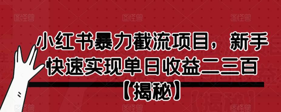小红书暴力截流项目，新手快速实现单日收益二三百【仅揭秘】-副业库