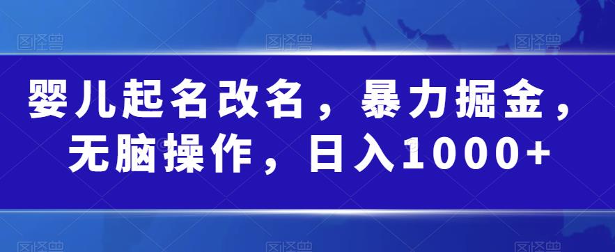 婴儿起名改名，暴力掘金，无脑操作，日入1000+【揭秘】-副业库