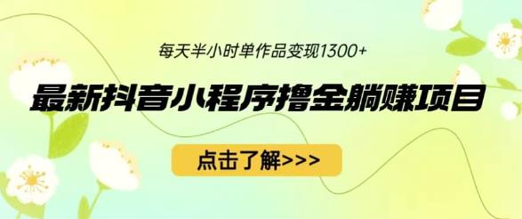 最新抖音小程序撸金躺赚项目，一部手机每天半小时，单个作品变现1300+【揭秘】-副业库
