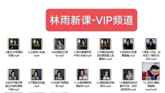 林雨新课VIP频道，玩赚私域/朋友圈/社群-副业库