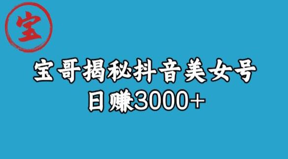 宝哥揭秘抖音美女号玩法，日赚3000+【揭秘】-副业库