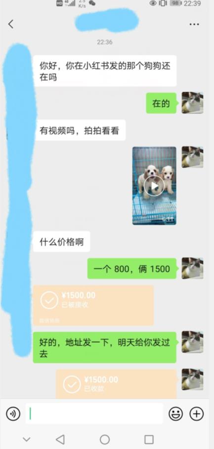 图片[2]-外边收费3980的同城萌宠项目，用最冷门的玩法冲击最热门的市场【揭秘】-副业库