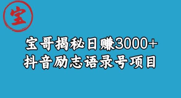 宝哥揭秘日赚3000+抖音励志语录号短视频变现项目-副业库