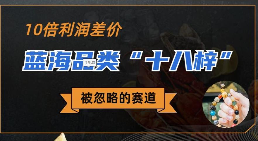 被忽略的蓝海品类“十八籽”，10倍的利润差价，同行一天几十单【揭秘】-副业库