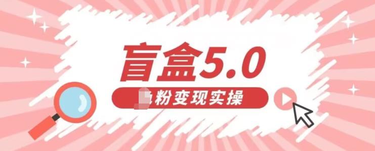 盲盒交友5.0，男粉变现实操项目，亲测变现效果极好【揭秘】-副业库