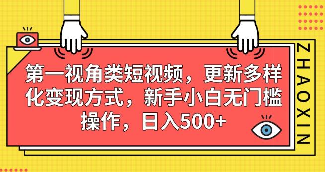 第一视角类短视频，更新多样化变现方式，新手小白无门槛操作，日入500+【揭秘】-副业库