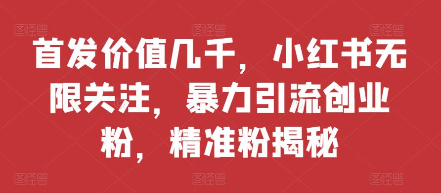 首发价值几千，小红书无限关注，暴力引流创业粉，精准粉揭秘-副业库