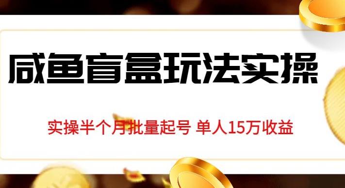 独家首发咸鱼盲盒玩法实操，半个月批量起号单人15万收益【揭秘】-副业库