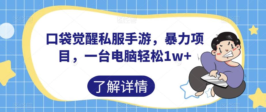 口袋觉醒私服手游，暴力项目，一台电脑轻松1w+【揭秘】-副业库