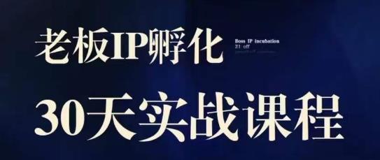 诸葛·2023老板IP实战课，实体同城引流获客，IP孵化必听-副业库
