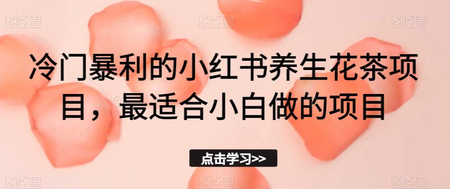 冷门暴利的小红书养生花茶项目，最适合小白做的项目【揭秘】-副业库