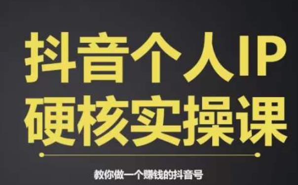 个人IP创富系统实战课，商业定位，流量打造，短视频变现，教你做个赚钱的抖音号-副业库