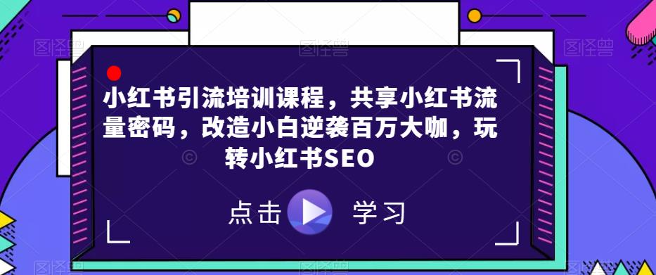 小红书引流培训课程，共享小红书流量密码，改造小白逆袭百万大咖，玩转小红书SEO-副业库