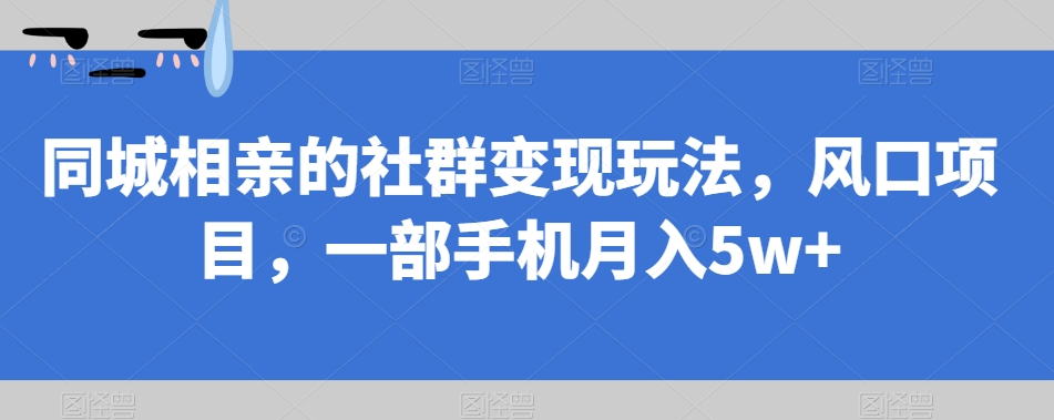 同城相亲的社群变现玩法，风口项目，一部手机月入5w+【揭秘】-副业库