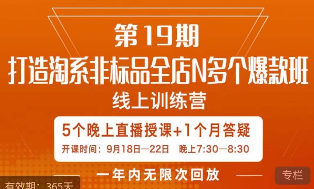 打造淘系非标全店N多个爆款线上课，​5天直播课-副业库