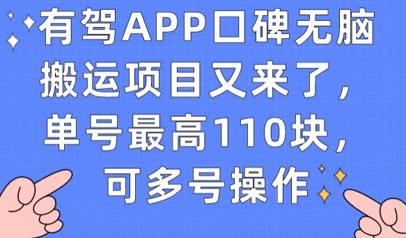 有驾APP口碑无脑搬运项目又来了，单号最高110块，可多号操作-副业库