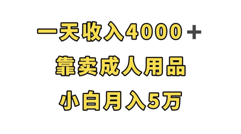 一天收入4000+，靠卖成人用品，小白轻松月入5万【揭秘】-副业库