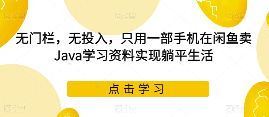无门栏，无投入，只用一部手机在闲鱼卖Java学习资料实现躺平生活【揭秘】-副业库