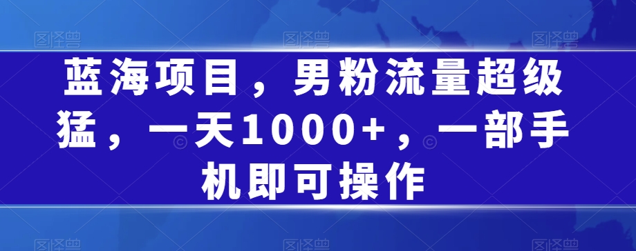 蓝海项目，男粉流量超级猛，一天1000+，一部手机即可操作【揭秘】-副业库