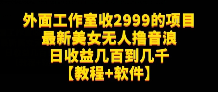 外面工作室收2999的项目最新美女无人撸音浪日收益几百到几千【教程+软件】（仅揭秘）-副业库