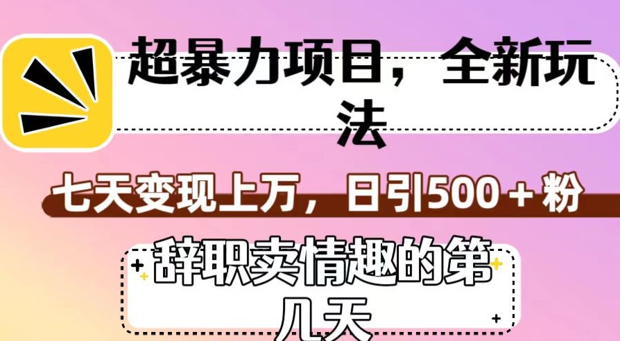 超暴利项目，全新玩法（辞职卖情趣的第几天），七天变现上万，日引500+粉【揭秘】-副业库