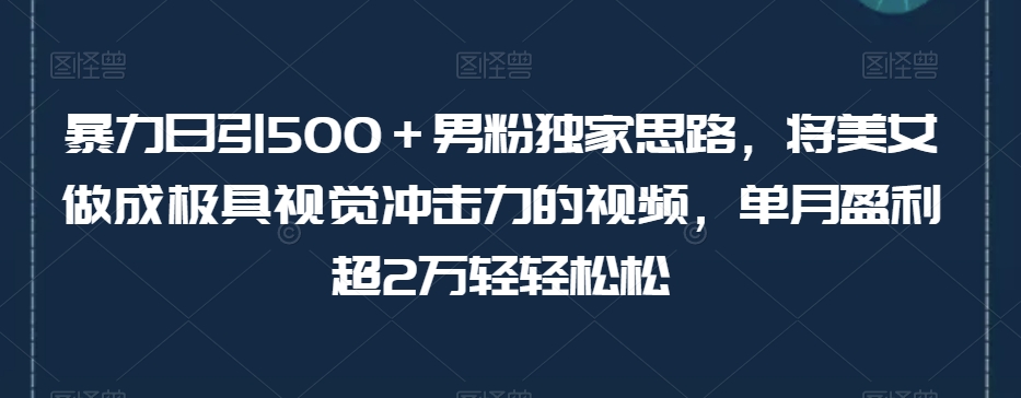 暴力日引500＋男粉独家思路，将美女做成极具视觉冲击力的视频，单月盈利超2万轻轻松松-副业库