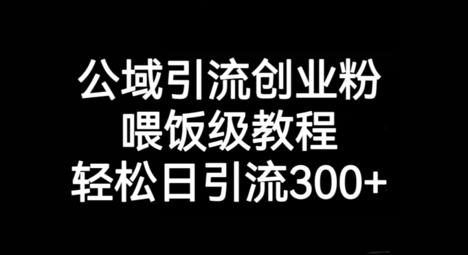公域引流创业粉，喂饭级教程，轻松日引流300+【揭秘】-副业库