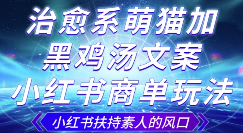治愈系萌猫加+黑鸡汤文案，小红书商单玩法，3~10天涨到1000粉，一单200左右-副业库