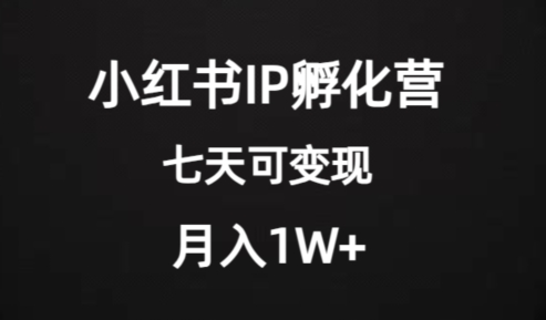 价值2000+的小红书IP孵化营项目，超级大蓝海，七天即可开始变现，稳定月入1W+-副业库