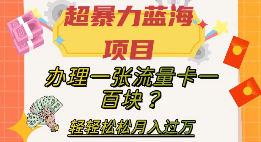 超暴力蓝海项目，办理一张流量卡一百块？轻轻松松月入过万，保姆级教程【揭秘】-副业库