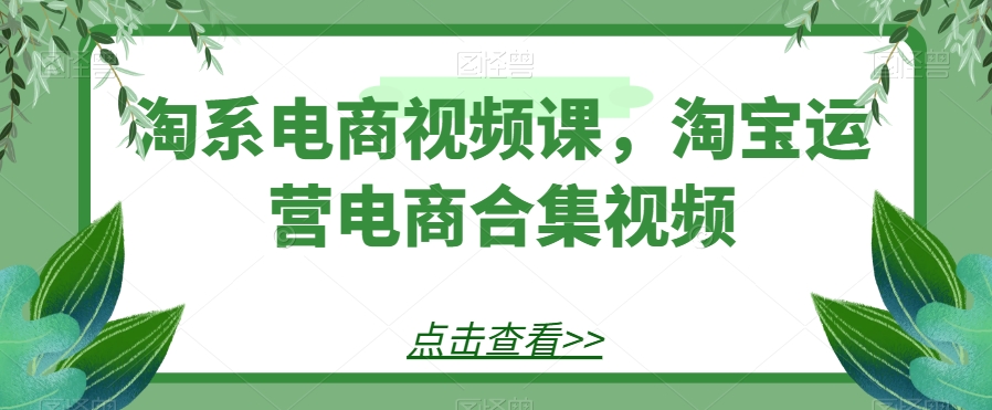 淘系电商视频课，淘宝运营电商合集视频-副业库