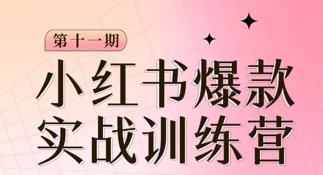 小红书博主爆款训练营第11期，手把手教你从0-1做小红书，从定位到起号到变现-副业库