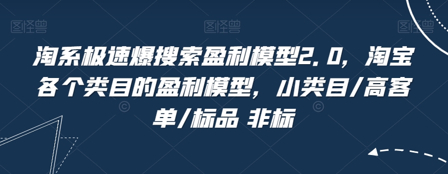 淘系极速爆搜索盈利模型2.0，淘宝各个类目的盈利模型，小类目/高客单/标品 非标-副业库