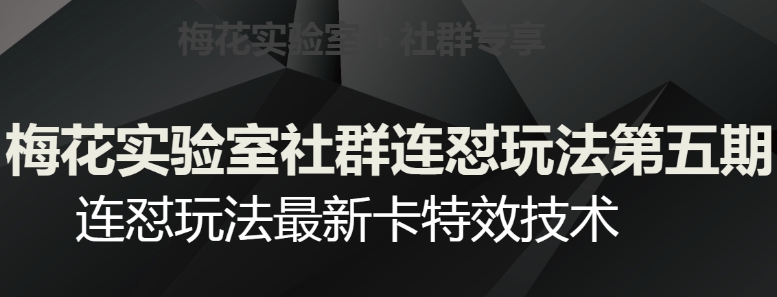 梅花实验室社群连怼玩法第五期，视频号连怼玩法最新卡特效技术-副业库