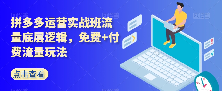 拼多多运营实战班流量底层逻辑，免费+付费流量玩法-副业库