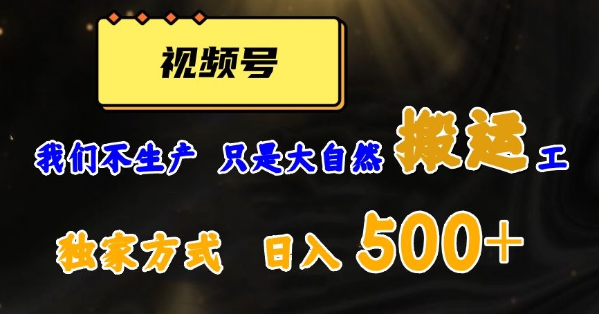视频号轻松搬运日赚500+，一个1分钟1条原创视频【揭秘】-副业库