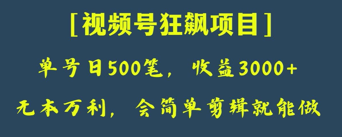日收款500笔，纯利润3000+，视频号狂飙项目，会简单剪辑就能做【揭秘】-副业库