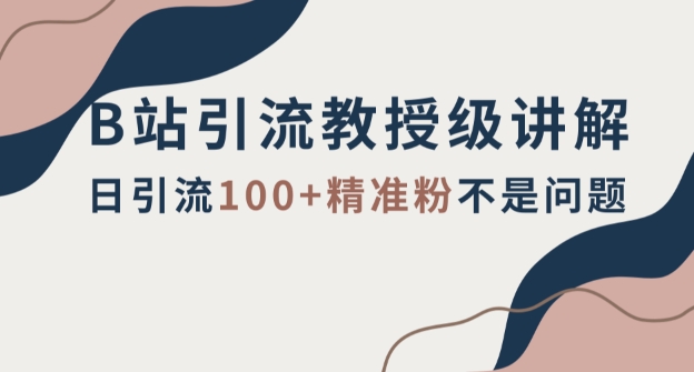 B站引流教授级讲解，细节满满，日引流100+精准粉不是问题【揭秘】-副业库