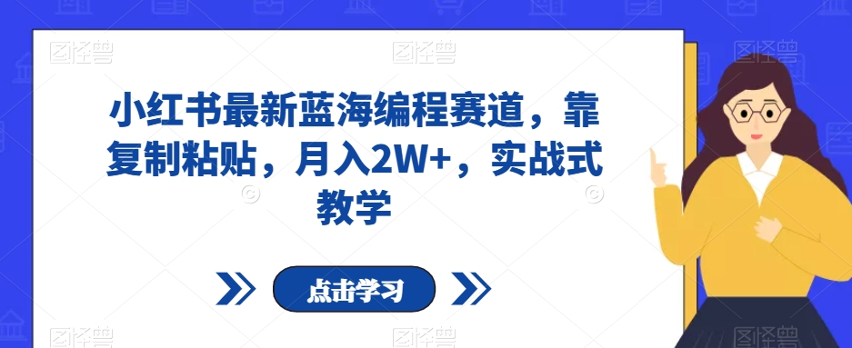 小红书最新蓝海编程赛道，靠复制粘贴，月入2W+，实战式教学【揭秘】-副业库