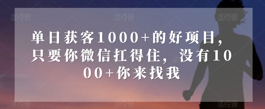 单日获客1000+的好项目，只要你微信扛得住，没有1000+你来找我【揭秘】-副业库